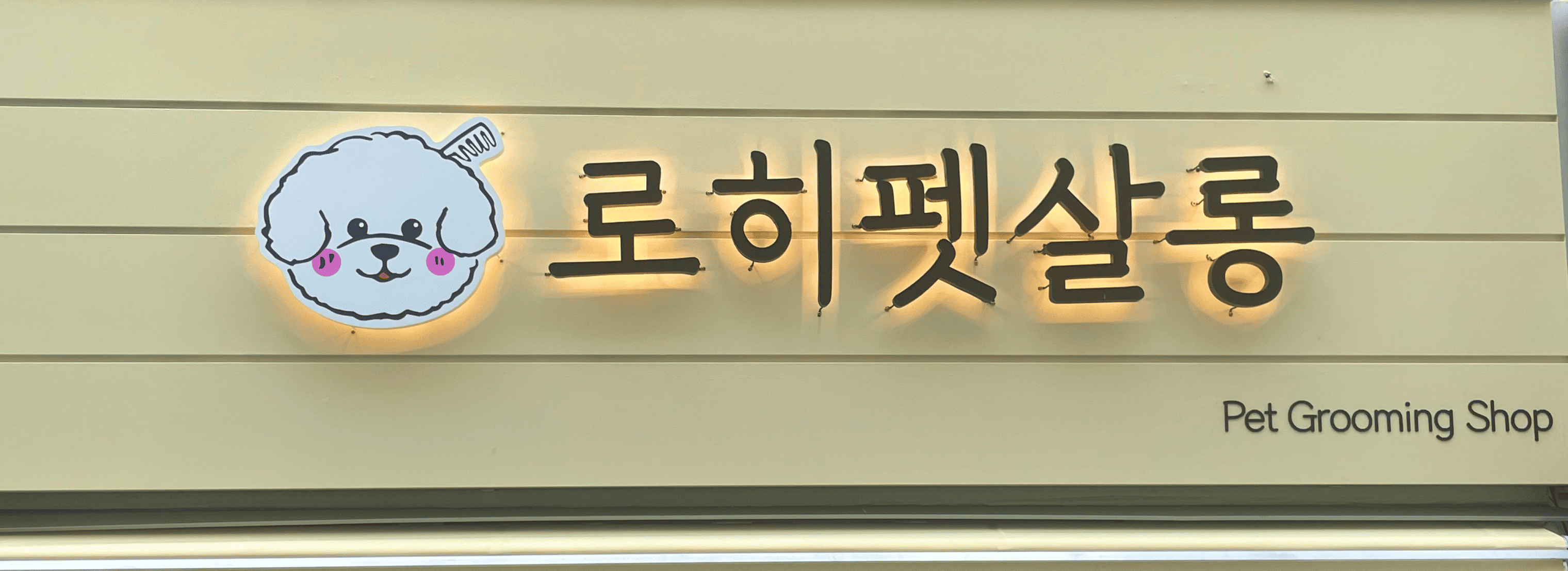 로히펫살롱 섬네일